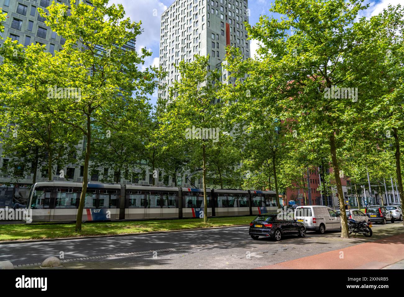 Verde urbano, via Laan op Zuid, nel quartiere di Rotterdam di Feijenoord, 4 corsie, 2 piste per tram, piste ciclabili su entrambi i lati, piedi Foto Stock
