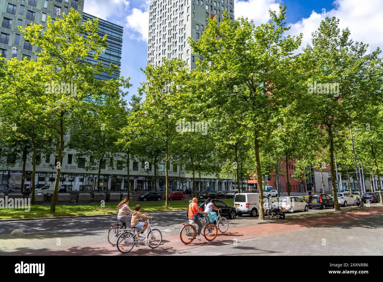 Verde urbano, via Laan op Zuid, nel quartiere di Rotterdam di Feijenoord, 4 corsie, 2 piste per tram, piste ciclabili su entrambi i lati, piedi Foto Stock
