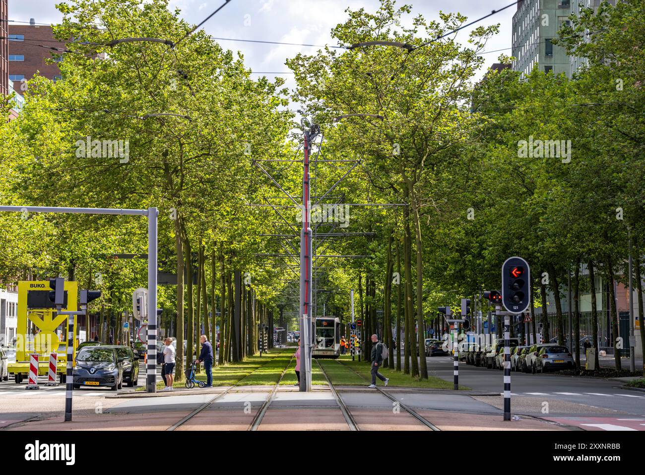 Verde urbano, via Laan op Zuid, nel quartiere di Rotterdam di Feijenoord, 4 corsie, 2 piste per tram, piste ciclabili su entrambi i lati, piedi Foto Stock