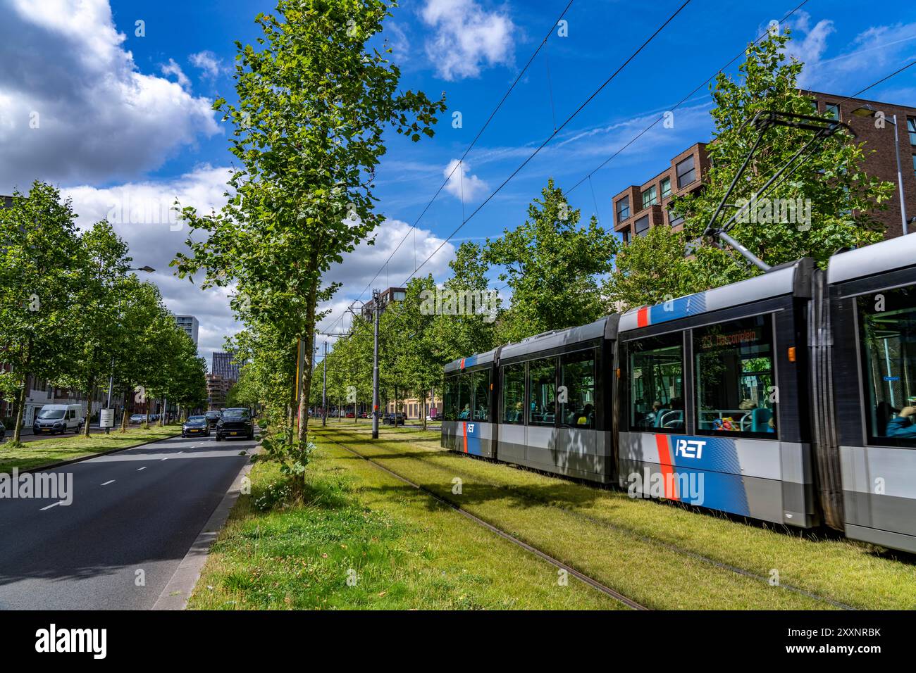 Verde urbano, via Laan op Zuid, nel quartiere di Rotterdam di Feijenoord, 4 corsie, 2 piste per tram, piste ciclabili su entrambi i lati, piedi Foto Stock