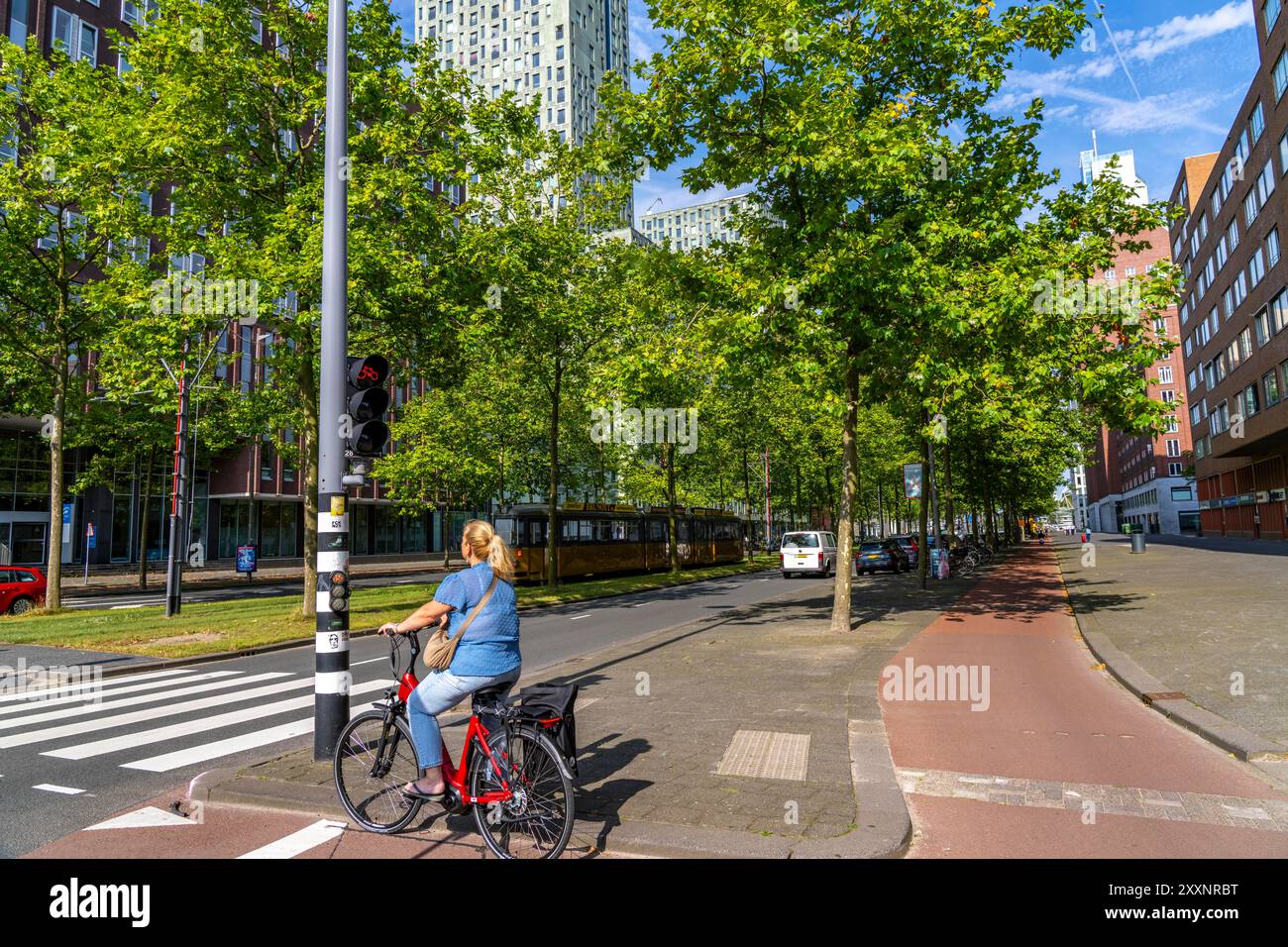 Verde urbano, via Laan op Zuid, nel quartiere di Rotterdam di Feijenoord, 4 corsie, 2 piste per tram, piste ciclabili su entrambi i lati, piedi Foto Stock