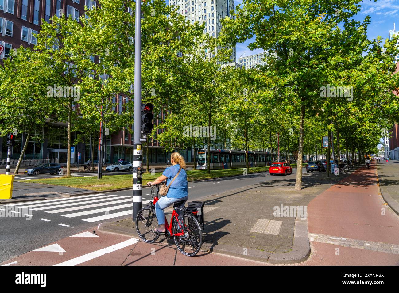 Verde urbano, via Laan op Zuid, nel quartiere di Rotterdam di Feijenoord, 4 corsie, 2 piste per tram, piste ciclabili su entrambi i lati, piedi Foto Stock