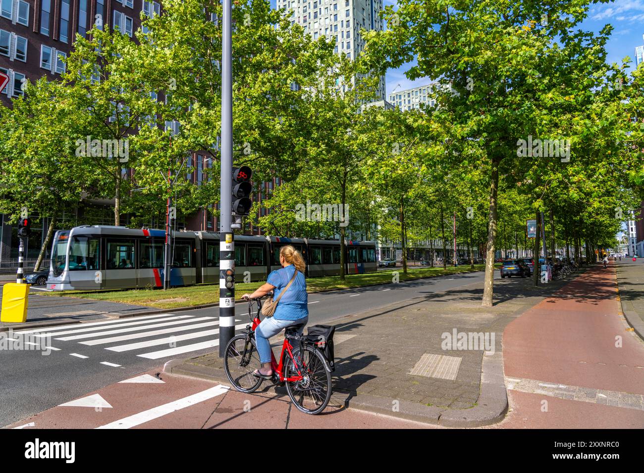 Verde urbano, via Laan op Zuid, nel quartiere di Rotterdam di Feijenoord, 4 corsie, 2 piste per tram, piste ciclabili su entrambi i lati, piedi Foto Stock