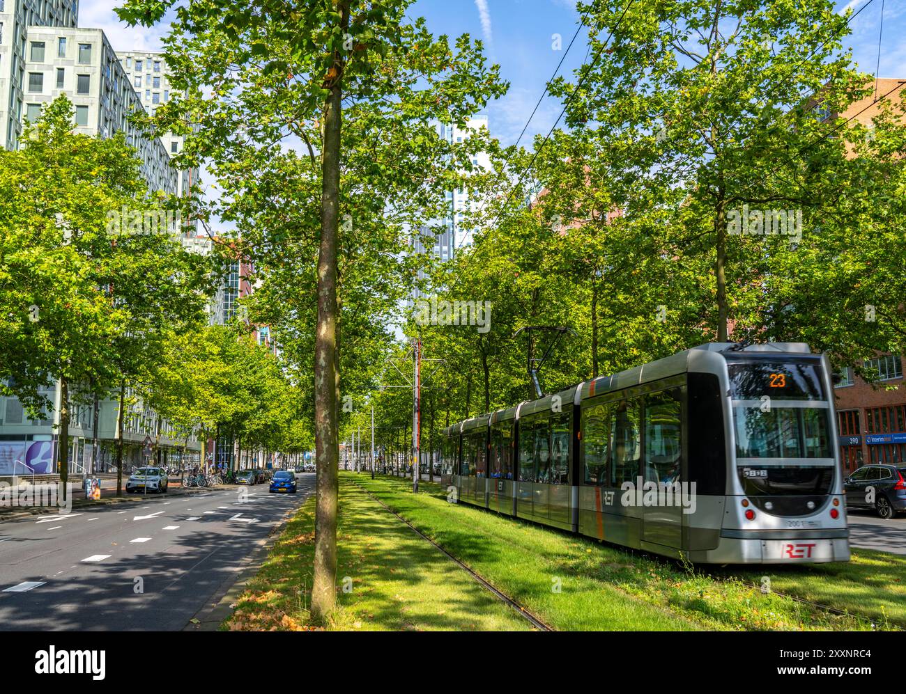 Verde urbano, via Laan op Zuid, nel quartiere di Rotterdam di Feijenoord, 4 corsie, 2 piste per tram, piste ciclabili su entrambi i lati, piedi Foto Stock