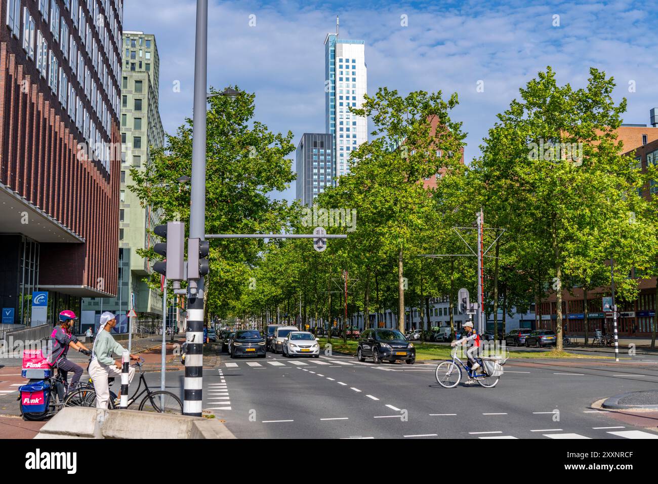 Verde urbano, via Laan op Zuid, nel quartiere di Rotterdam di Feijenoord, 4 corsie, 2 piste per tram, piste ciclabili su entrambi i lati, piedi Foto Stock