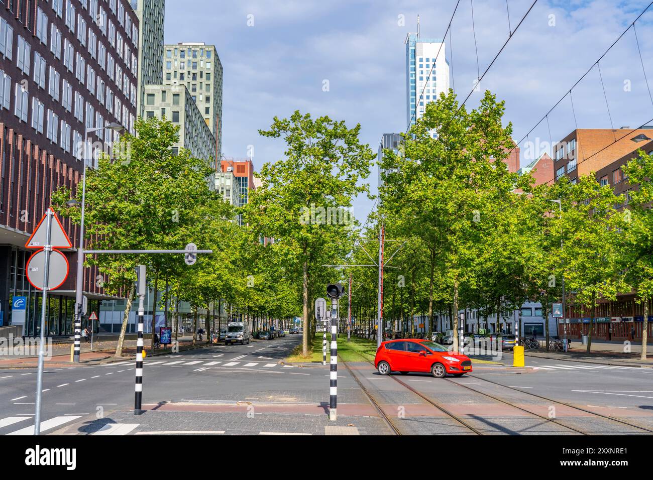 Verde urbano, via Laan op Zuid, nel quartiere di Rotterdam di Feijenoord, 4 corsie, 2 piste per tram, piste ciclabili su entrambi i lati, piedi Foto Stock