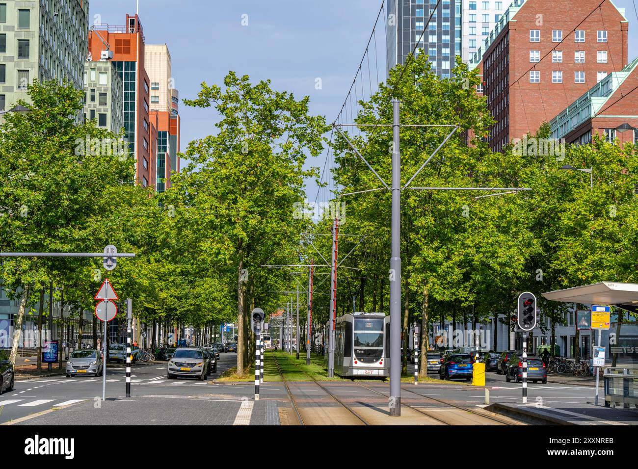 Verde urbano, via Laan op Zuid, nel quartiere di Rotterdam di Feijenoord, 4 corsie, 2 piste per tram, piste ciclabili su entrambi i lati, piedi Foto Stock