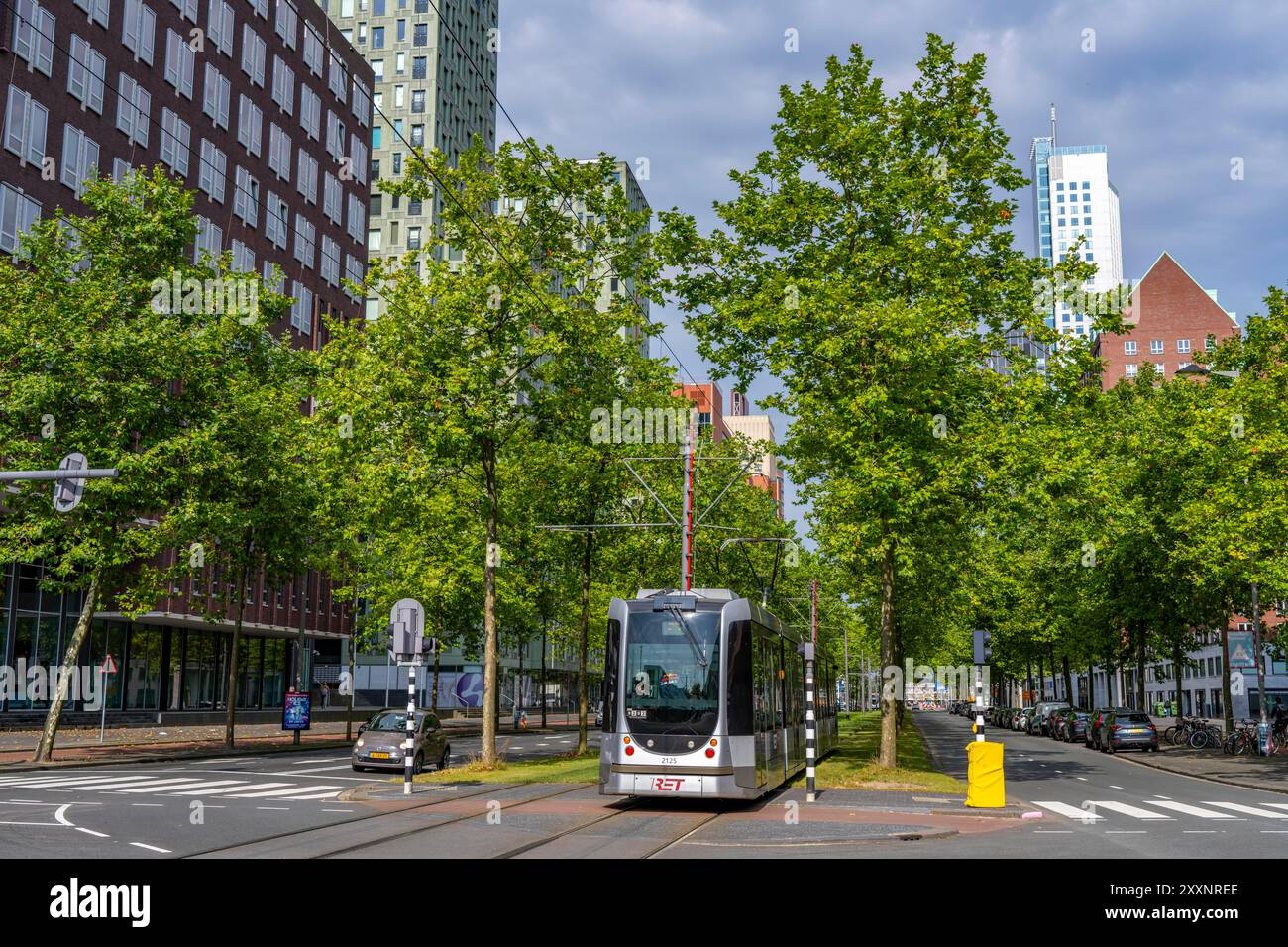 Verde urbano, via Laan op Zuid, nel quartiere di Rotterdam di Feijenoord, 4 corsie, 2 piste per tram, piste ciclabili su entrambi i lati, piedi Foto Stock