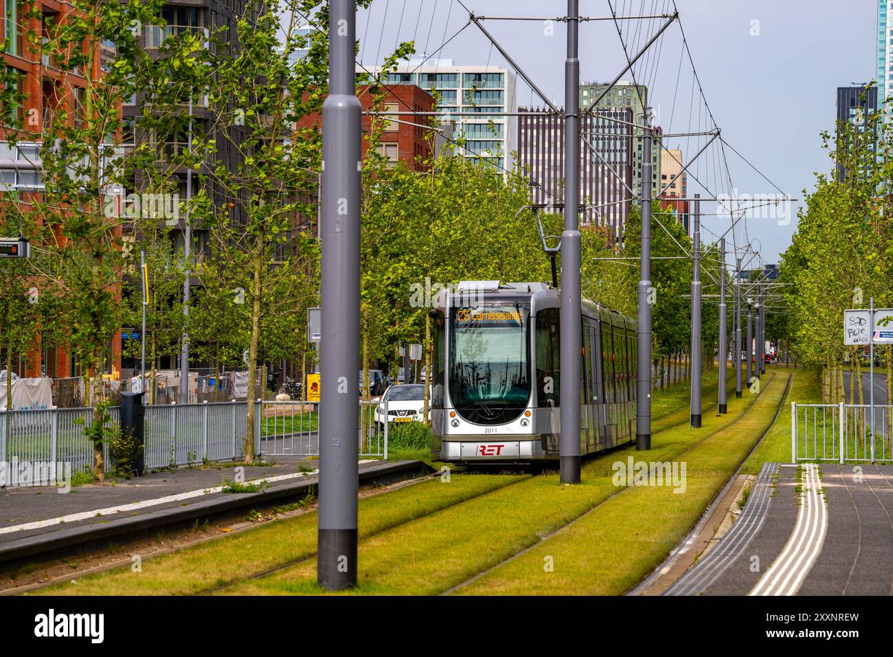 Verde urbano, via Laan op Zuid, nel quartiere di Rotterdam di Feijenoord, 4 corsie, 2 piste per tram, piste ciclabili su entrambi i lati, piedi Foto Stock
