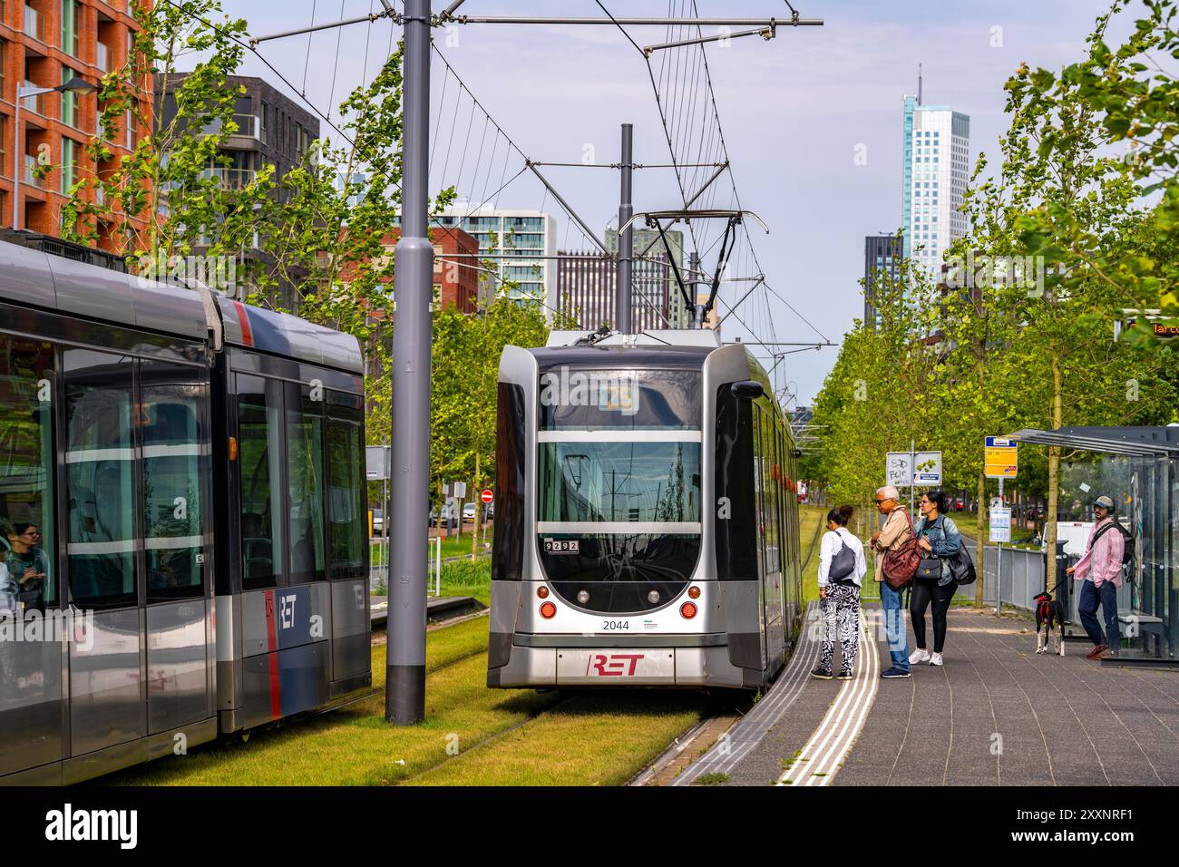 Verde urbano, via Laan op Zuid, nel quartiere di Rotterdam di Feijenoord, 4 corsie, 2 piste per tram, piste ciclabili su entrambi i lati, piedi Foto Stock