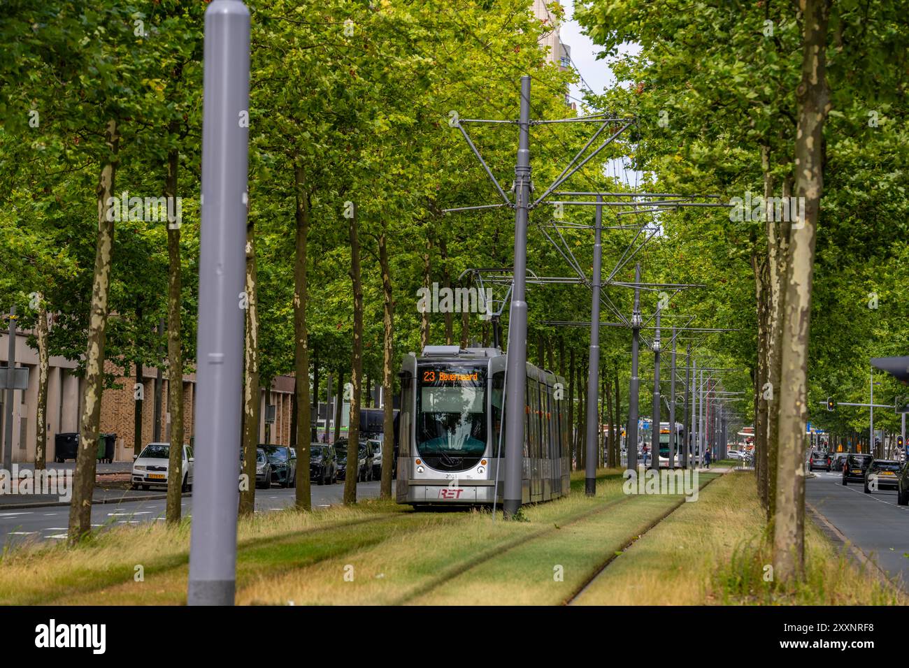 Verde urbano, via Laan op Zuid, nel quartiere di Rotterdam di Feijenoord, 4 corsie, 2 piste per tram, piste ciclabili su entrambi i lati, piedi Foto Stock