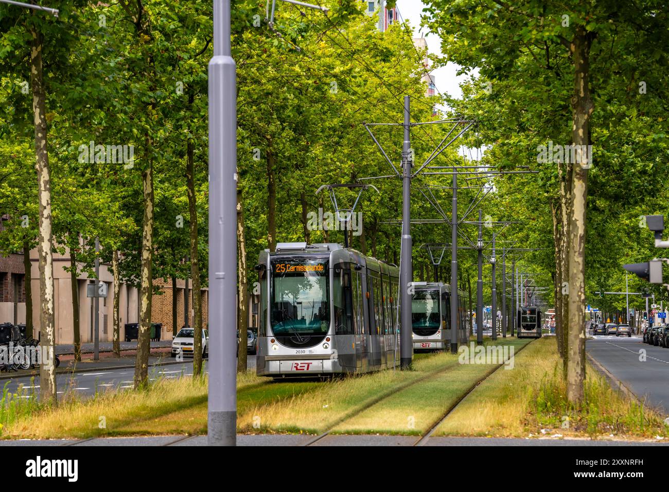 Verde urbano, via Laan op Zuid, nel quartiere di Rotterdam di Feijenoord, 4 corsie, 2 piste per tram, piste ciclabili su entrambi i lati, piedi Foto Stock