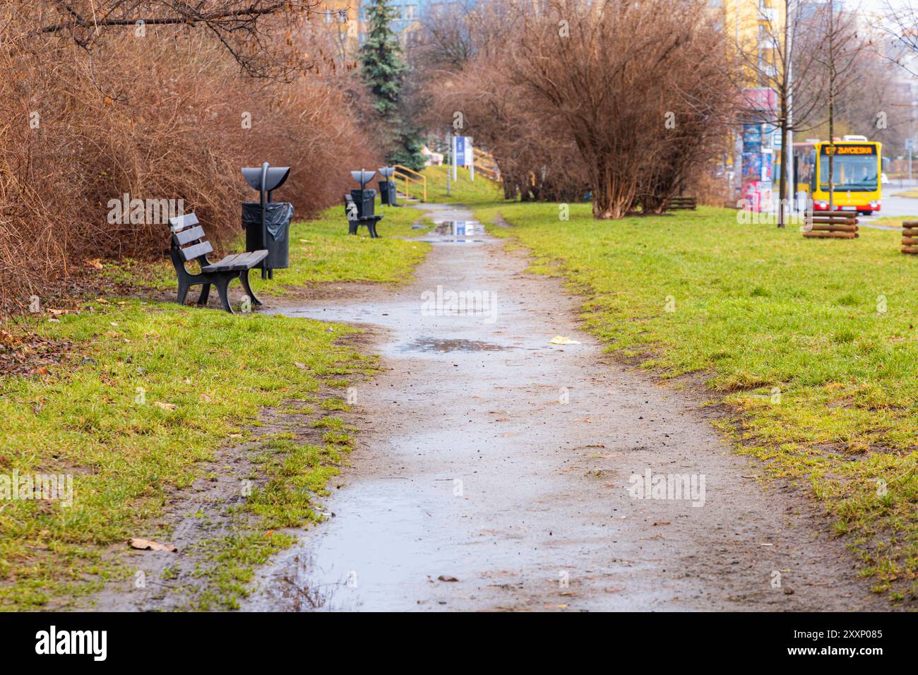 Breslavia, Polonia - 17 febbraio 2024: Piccola piazza con piccola panchina in legno e pochi cespugli accanto al vecchio blocco di appartamenti con facciata colorata Foto Stock