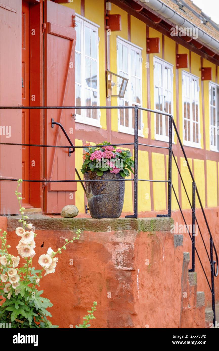 Invitante entrata di una casa colorata con vaso di fiori e ringhiera, facciata rosso-giallo, svaneke, bornholm, Mar baltico, danimarca, scandinavia Foto Stock