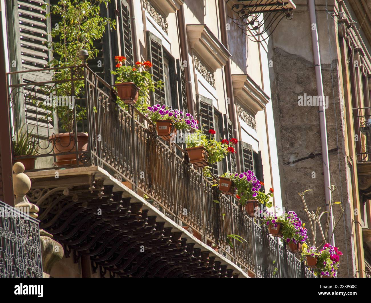 Balconi di un edificio residenziale, decorato con fiori e piante, accanto alle persiane e illuminato dalla luce del giorno, palermo, sicilia, mediterraneo Foto Stock