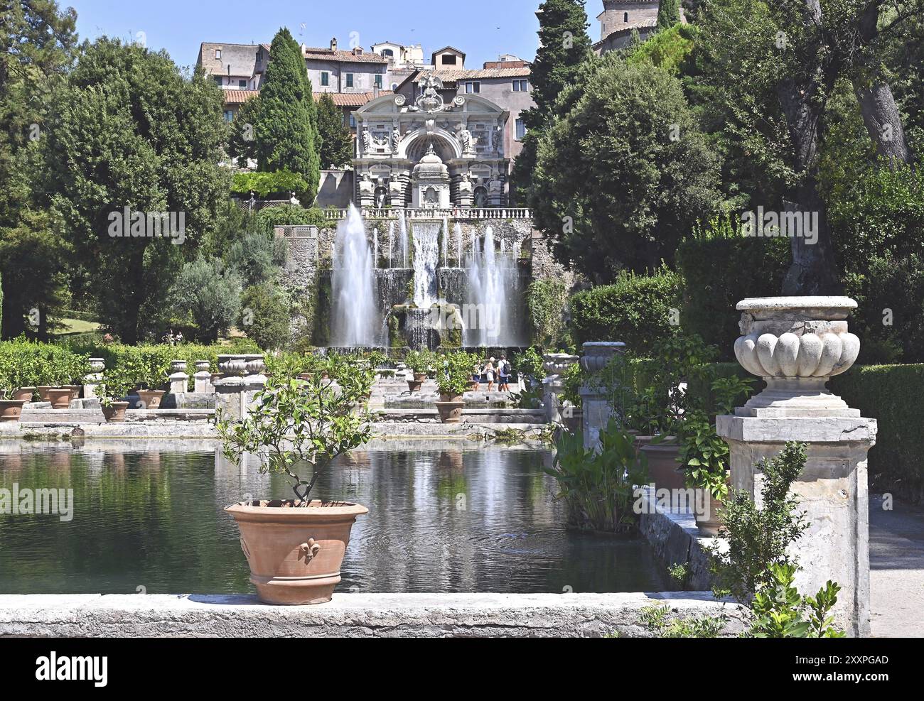 Laghetto con pesci e fontana di Nettuno Foto Stock