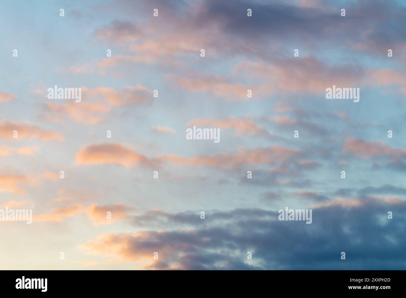 Cielo azzurro con nuvole rosa e viola per un utilizzo sostitutivo del cielo. Preso nella stagione invernale nel nord del Canada con cieli di uccelli rossi Foto Stock