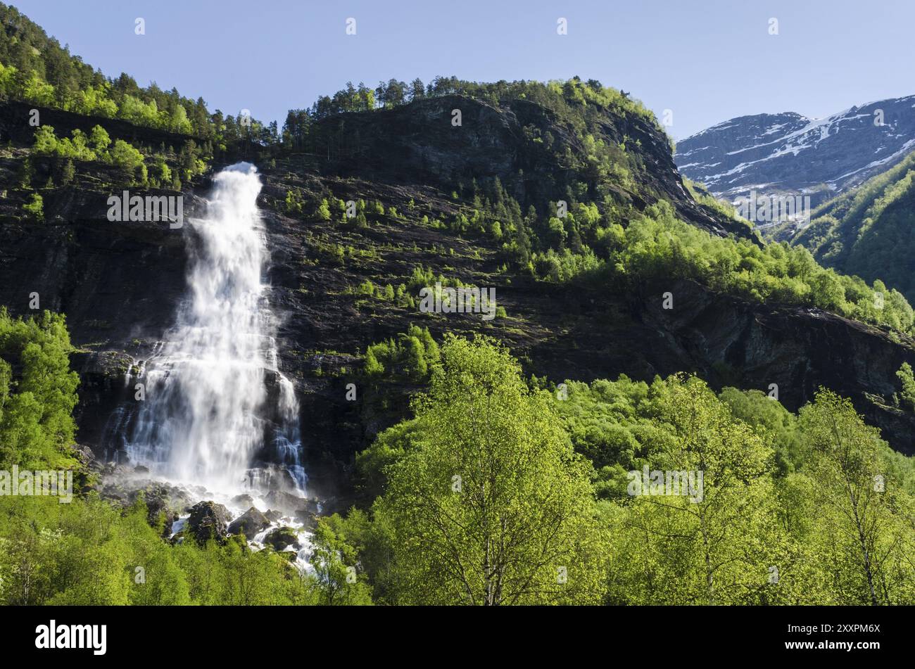 Cascata, Fortundalen (Fortunsdalen), Sogn og Fjordane Fylke, Norvegia, maggio 2012, Europa Foto Stock