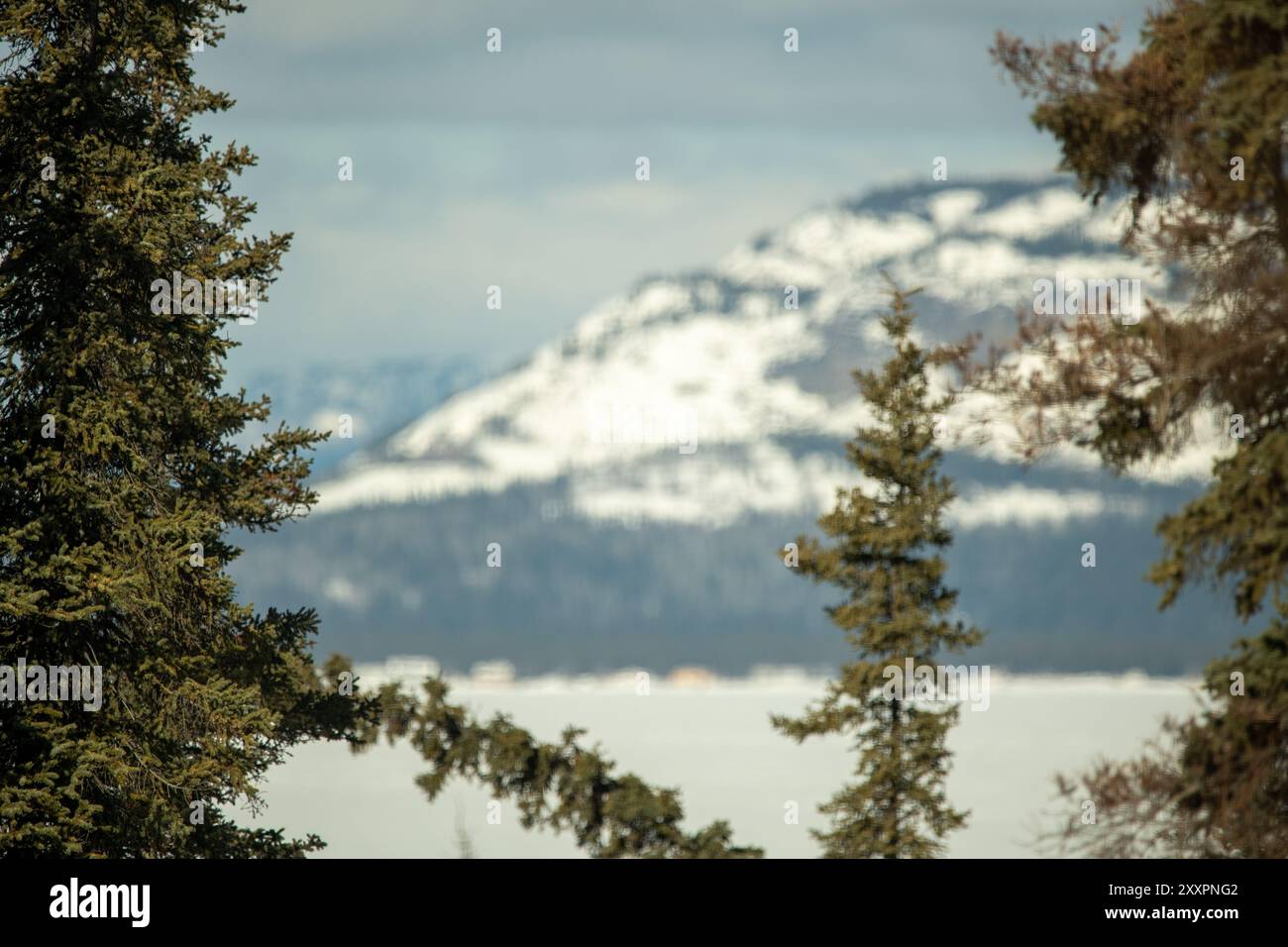 Vista sul lago ghiacciato nella natura selvaggia del Canada artico durante l'inverno, con un lago ghiacciato e montagne innevate sopra la foresta boreale Foto Stock
