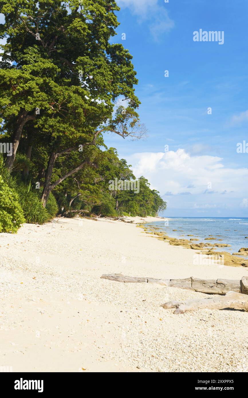 Una splendida spiaggia di sabbia corallina bianca incontaminata si estende contro l'oceano e il margine della foresta sull'isola Neil, una destinazione turistica, dell'Andam Foto Stock