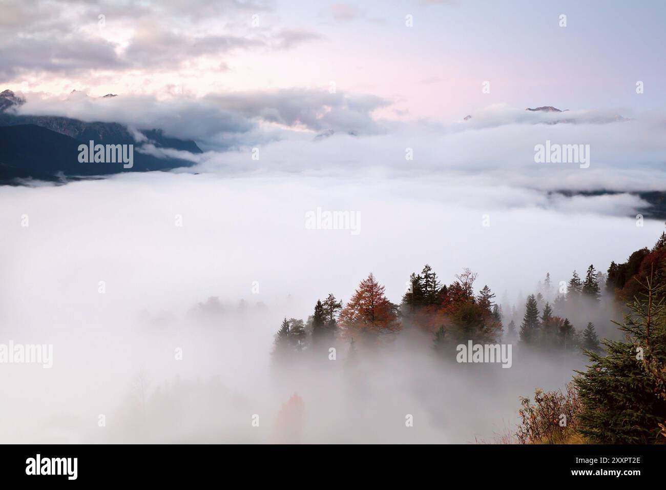 Vista dall'alto all'alba sulla fitta nebbia delle Alpi, Germania, Europa Foto Stock