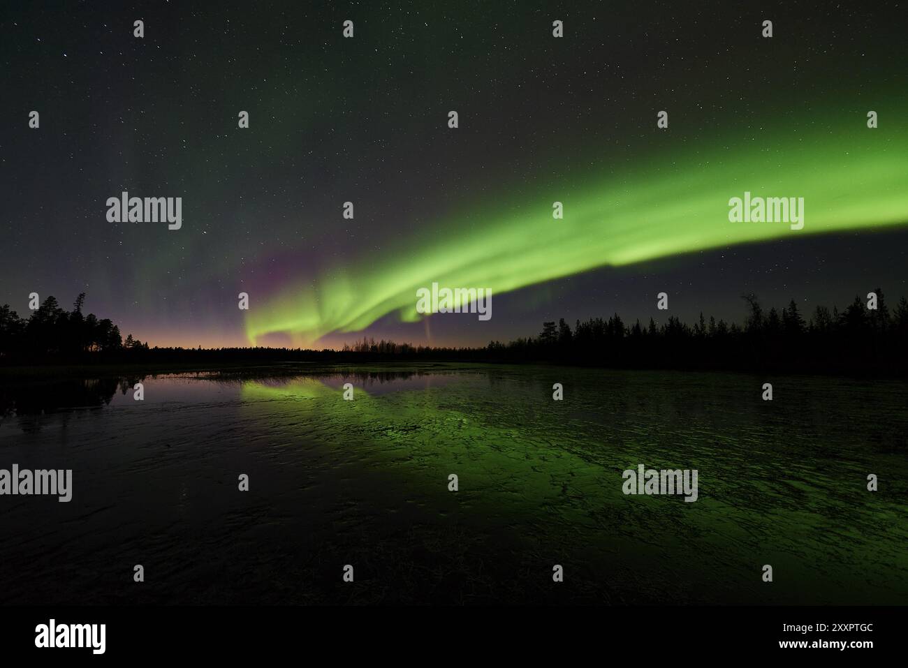 Aurora boreale (Aurora boreale) riflessa nel Taerendoeaelven, Norrbotten, Lapponia, Svezia, ottobre 2015, Europa Foto Stock