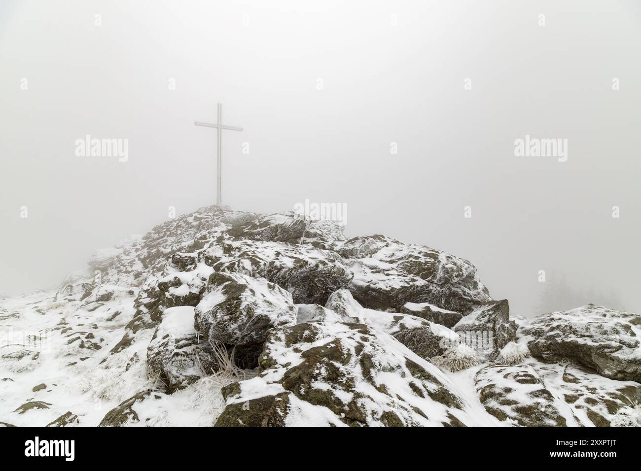 Nebbia e ghiaccio sulla cima del Grosser Arber Foto Stock