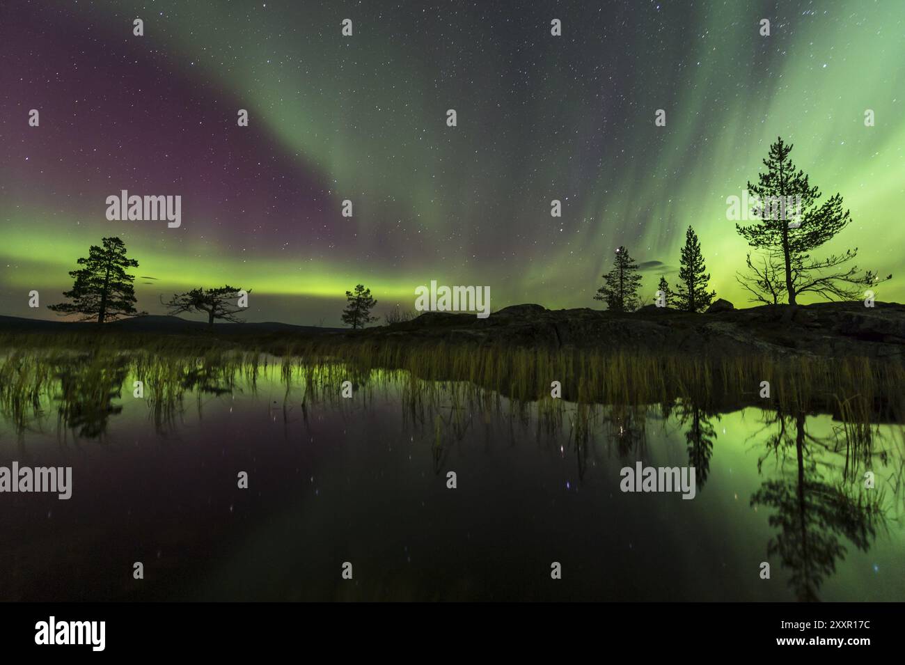 Aurora boreale (Aurora boreale) riflessa in un lago di montagna, Gaellivare, Norrbotten, Lapponia, Svezia, ottobre 2013, Europa Foto Stock