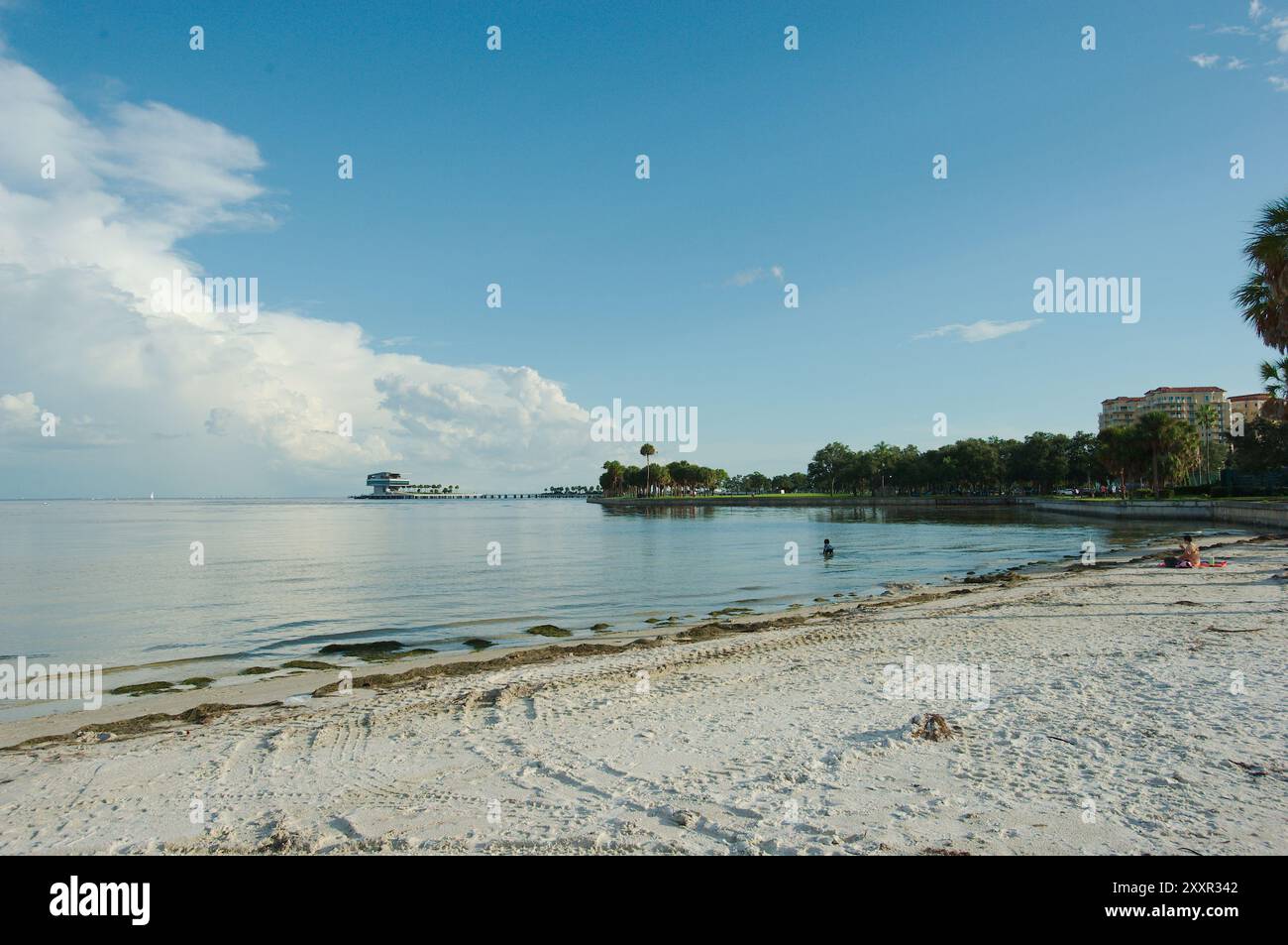 Ampio tiro che guarda a sud sulle palme, la diga e la spiaggia sabbiosa di St. Petersburg, Florida. Verso la baia di Tampa e il molo sul retro. Giornata parzialmente soleggiata con il blu Foto Stock