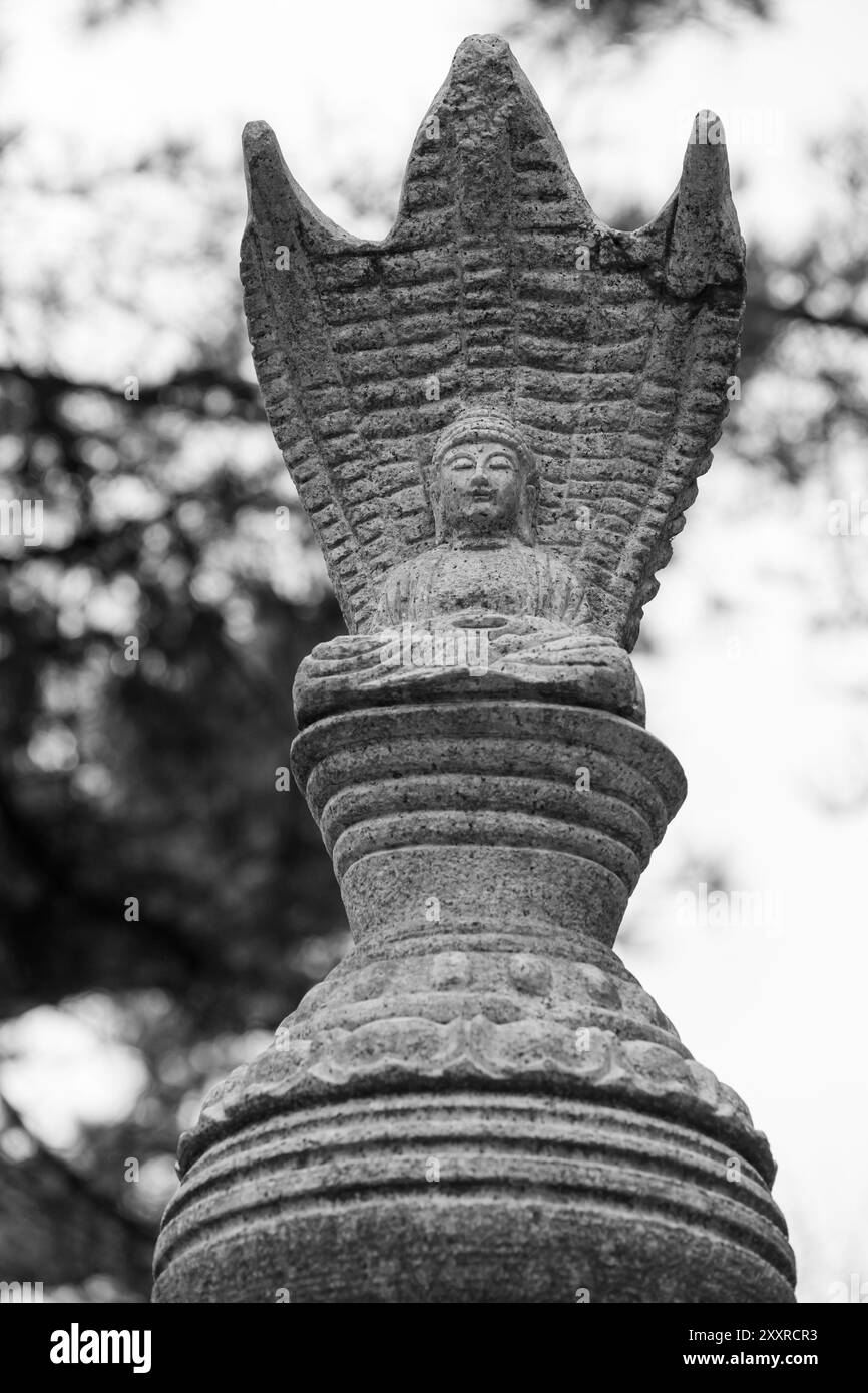 Statua del Buddha di pietra situata nel parco vicino al Tempio di Gumyeongsa. Busan, Corea del Sud. Foto verticale in bianco e nero Foto Stock