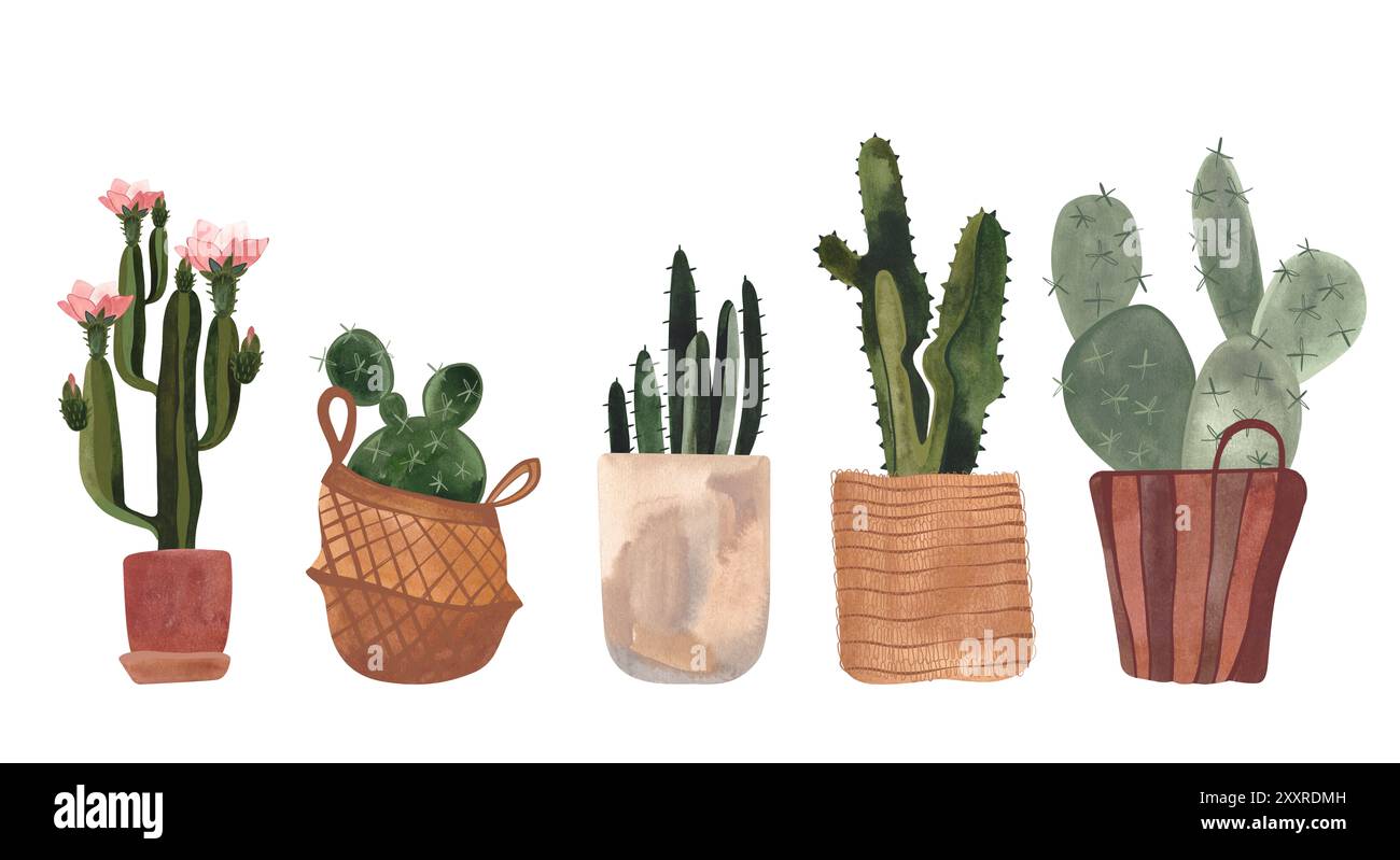 Set di cactus. Piante per la casa in cesti e vasi. Piante che crescono come hobby. Illustrazione ad acquerello isolata su sfondo bianco. Clipart. Foto Stock