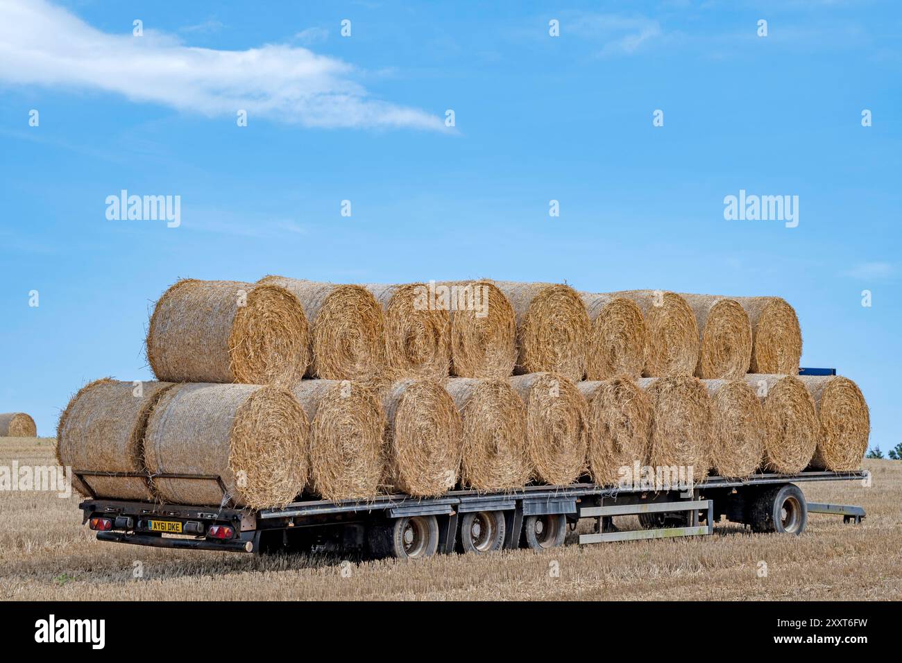 Balle di paglia rotonde caricate su un rimorchio Ufford Suffolk UK Foto Stock