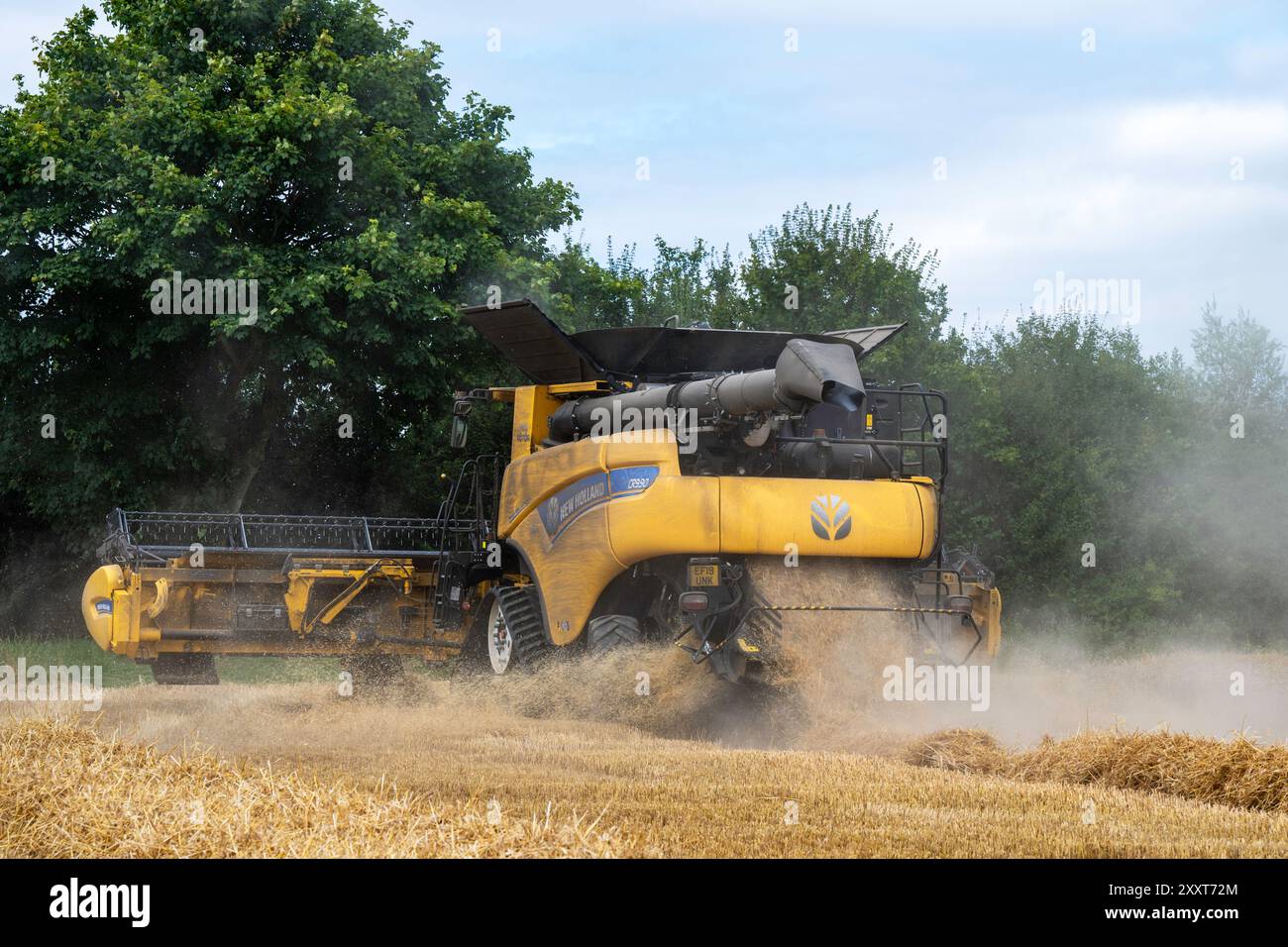 Mietitrebbia New Holland CR9.90 Foto Stock