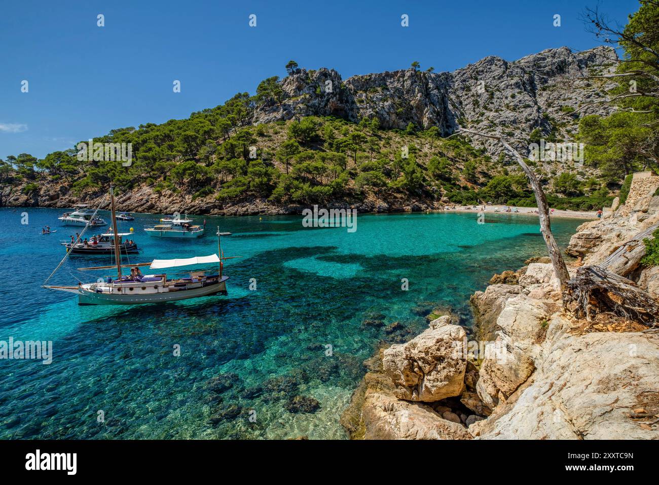 Imbarcazioni da diporto ancorate su acque turchesi, Cala Murta, Pollenca, Maiorca, Isole Baleari, Spagna Foto Stock