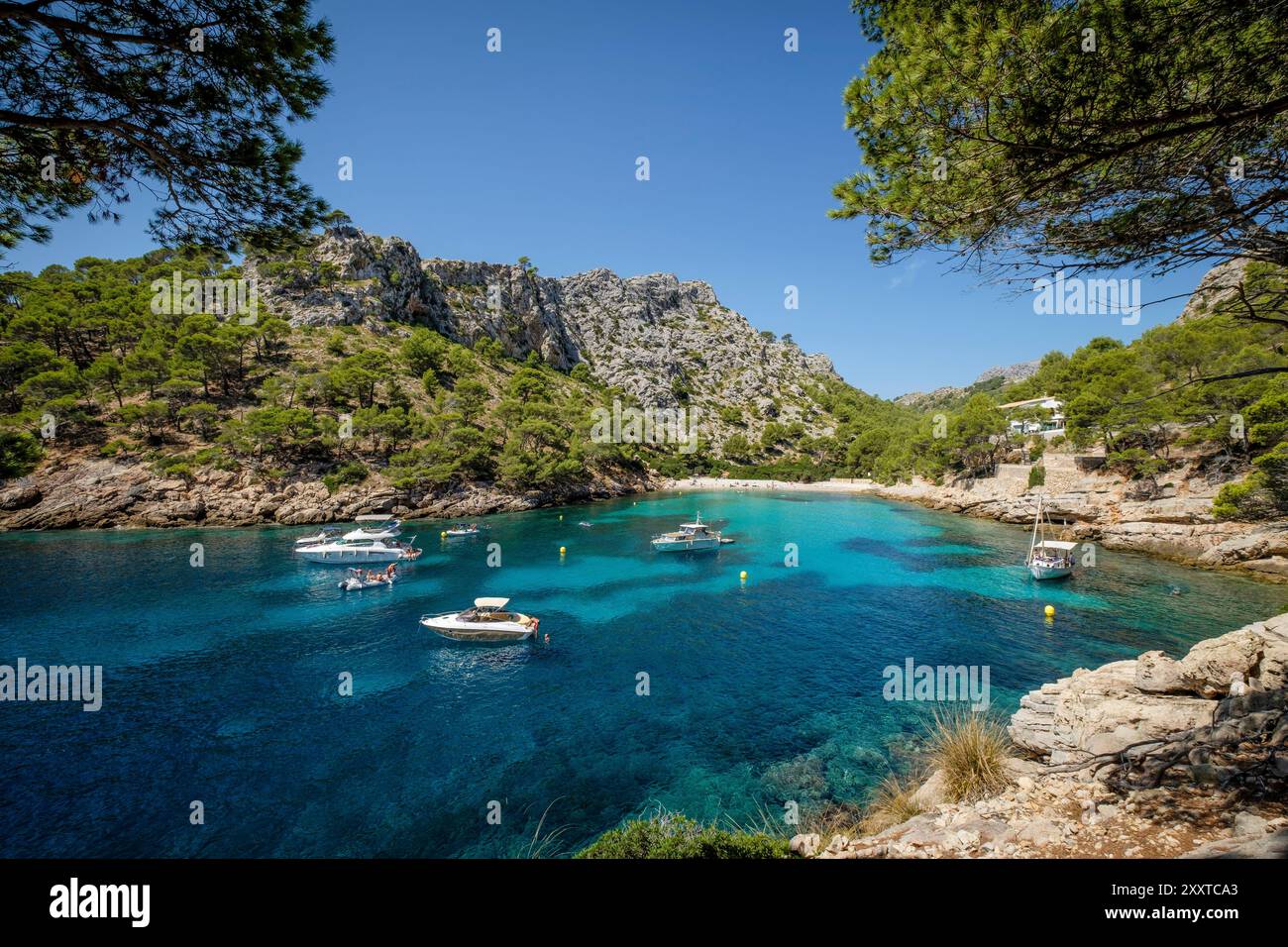 Imbarcazioni da diporto ancorate su acque turchesi, Cala Murta, Pollenca, Maiorca, Isole Baleari, Spagna Foto Stock