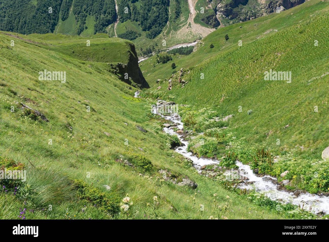 ruscello veloce in un letto roccioso tra un prato alpino Foto Stock