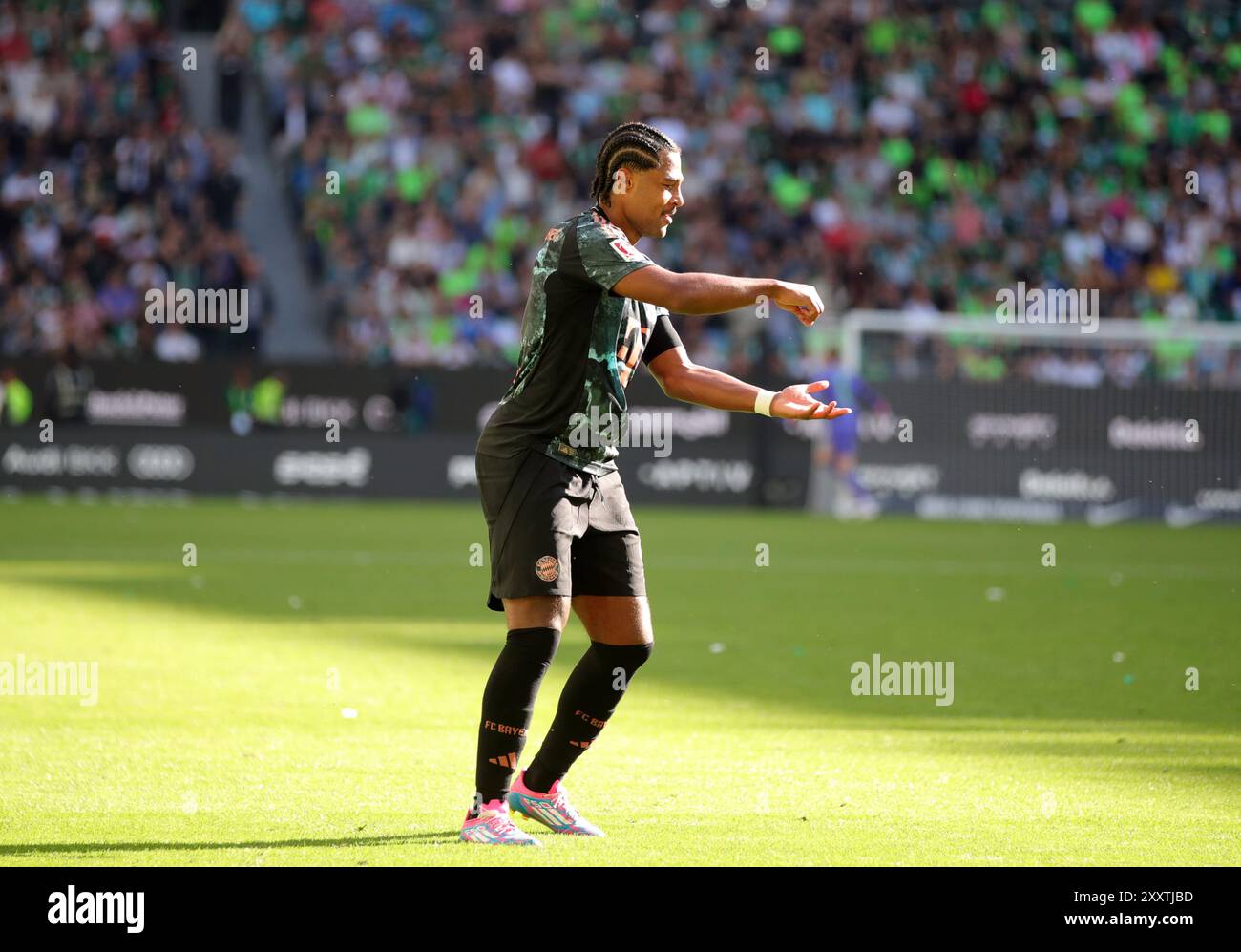 WOLFSBURG, GERMANIA - AGOSTO 25: Serge Gnabry del Bayern Muenchen festeggia dopo aver segnato il terzo gol della sua squadra durante la partita di Bundesliga tra VfL Wolfsburg e FC Bayern München alla Volkswagen Arena il 25 agosto 2024 a Wolfsburg, Germania. © diebilderwelt / Alamy Stock Foto Stock