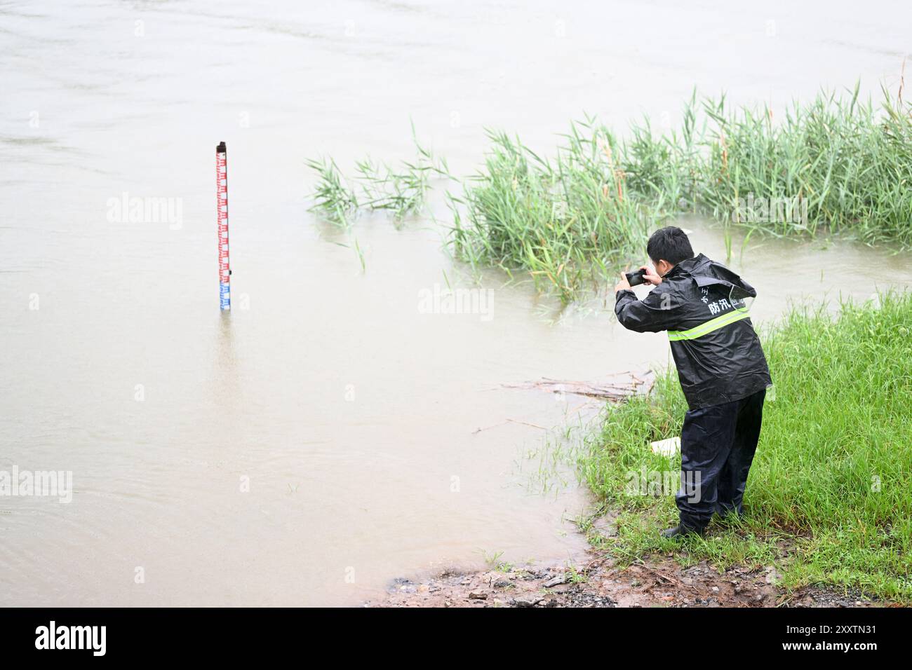 Tianjin. 26 agosto 2024. Un membro del personale controlla la situazione idrica del canale di drenaggio di Qingjinghuang nella città di Xiaowangzhuang nella nuova area di Binhai, nella Tianjin della Cina settentrionale, 26 agosto 2024. Il comune di Tianjin ha aggiornato l'allarme di pioggia lunedì mattina dopo aver subito le piogge più pesanti della stagione delle alluvioni di quest'anno. Dalle 7:00 di domenica alle 14:00 di lunedì, la piovosità media della città ha raggiunto i 85,6 mm, con un picco di 280,9 mm. Credito: Li Ran/Xinhua/Alamy Live News Foto Stock