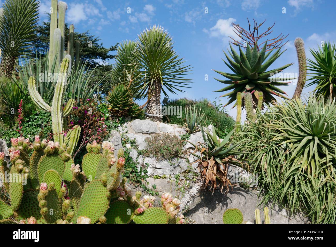 Eze, Francia - 23 maggio 2022: Il Jardin botanique d'Eze, un giardino botanico di montagna situato a Eze, sulla Costa Azzurra Foto Stock