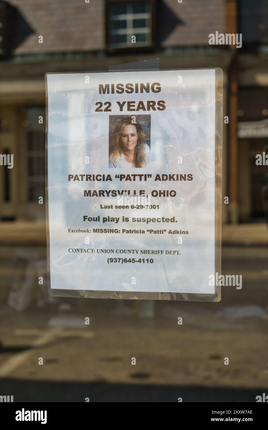 Il cartello mancante per Patricia 'Patti' Adkins, una madre di Marysville, Ohio, scomparve a mezzanotte, il 29 giugno 2001, dopo essere uscita dal lavoro Foto Stock