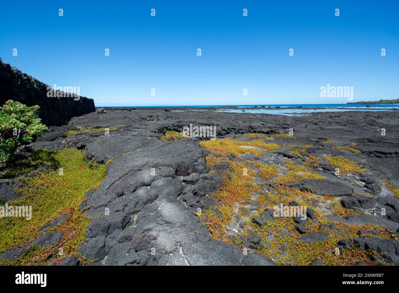 Parco storico nazionale PU uhonua o H naunau intagliato in legno di stile hawaiano, Big Island, Hawaii Foto Stock