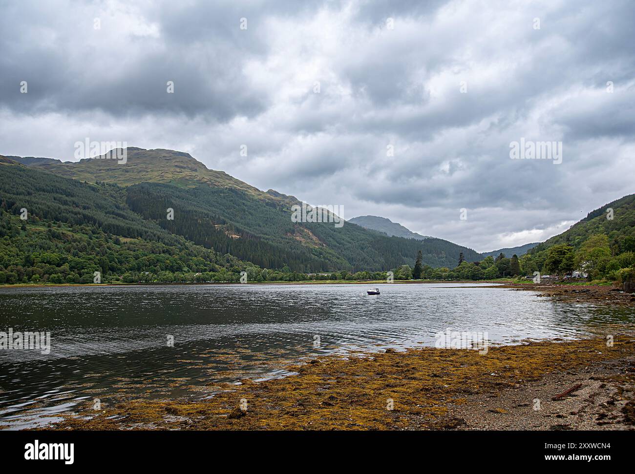 Fotografia paesaggistica del lago Loch Long e delle montagne; cielo umido con nuvole; collina; punto panoramico; panoramico; roccioso; destinazione; viaggio; escursionismo; escursione; Scotl Foto Stock