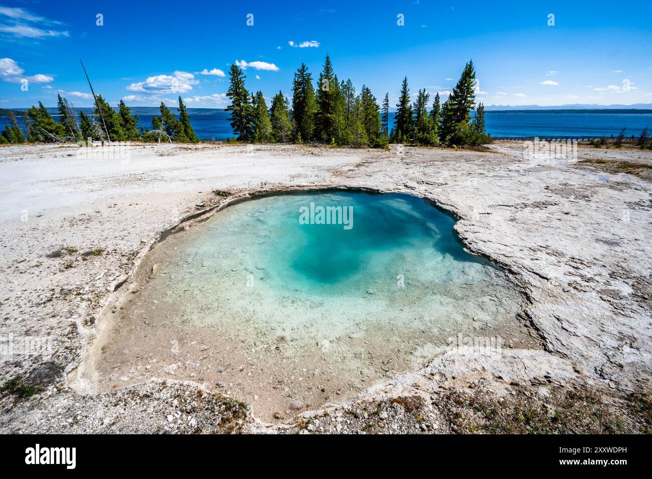 Sorgente termale del bacino geyser West Thumb con splendidi colori acqua blu e verdastro con vapore e il lago Yellowstone sullo sfondo con alberi di pino Foto Stock