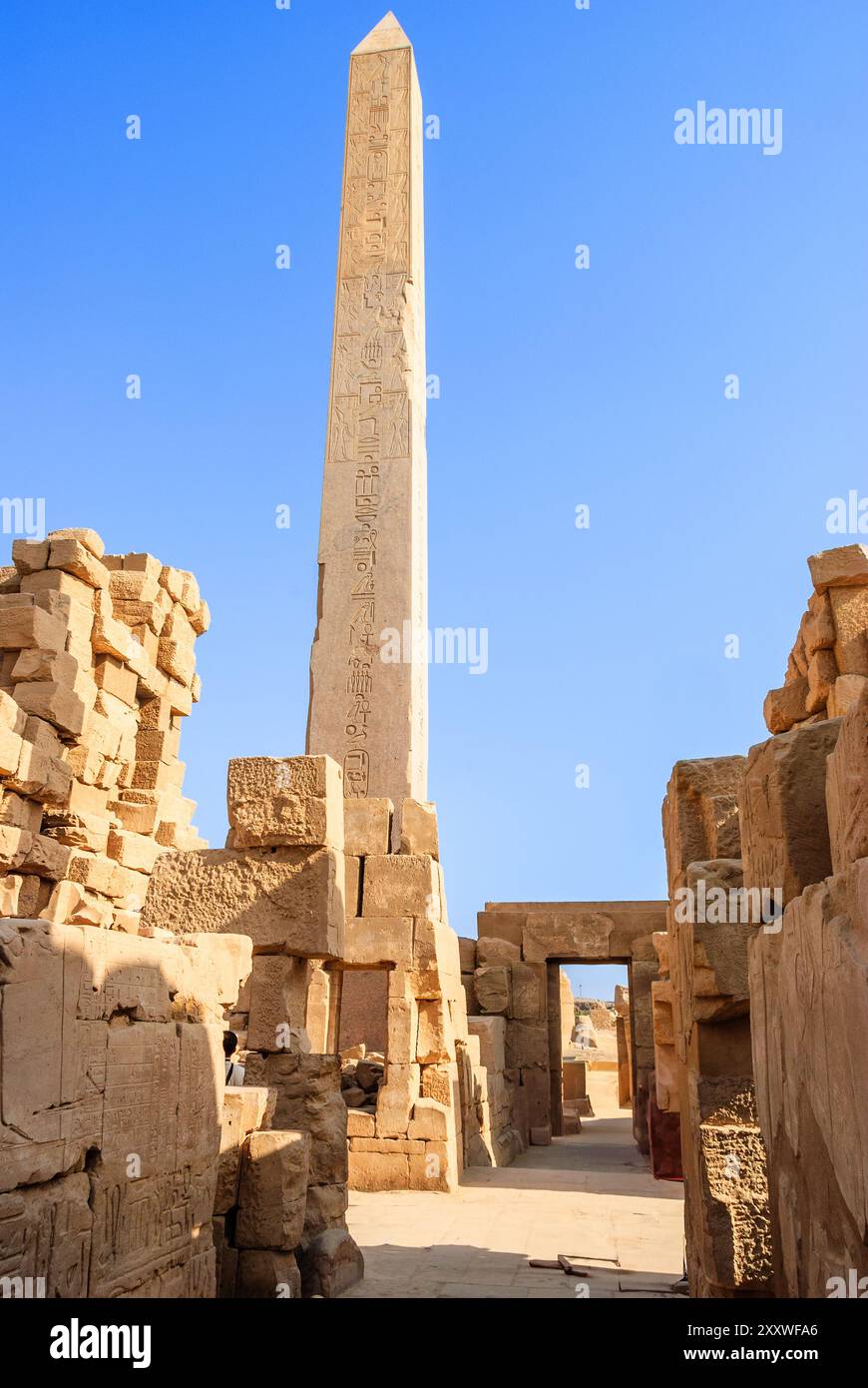 Hatshepsut obelisco - Tempio di Karnak complesso - Luxor, l'Alto Egitto Foto Stock
