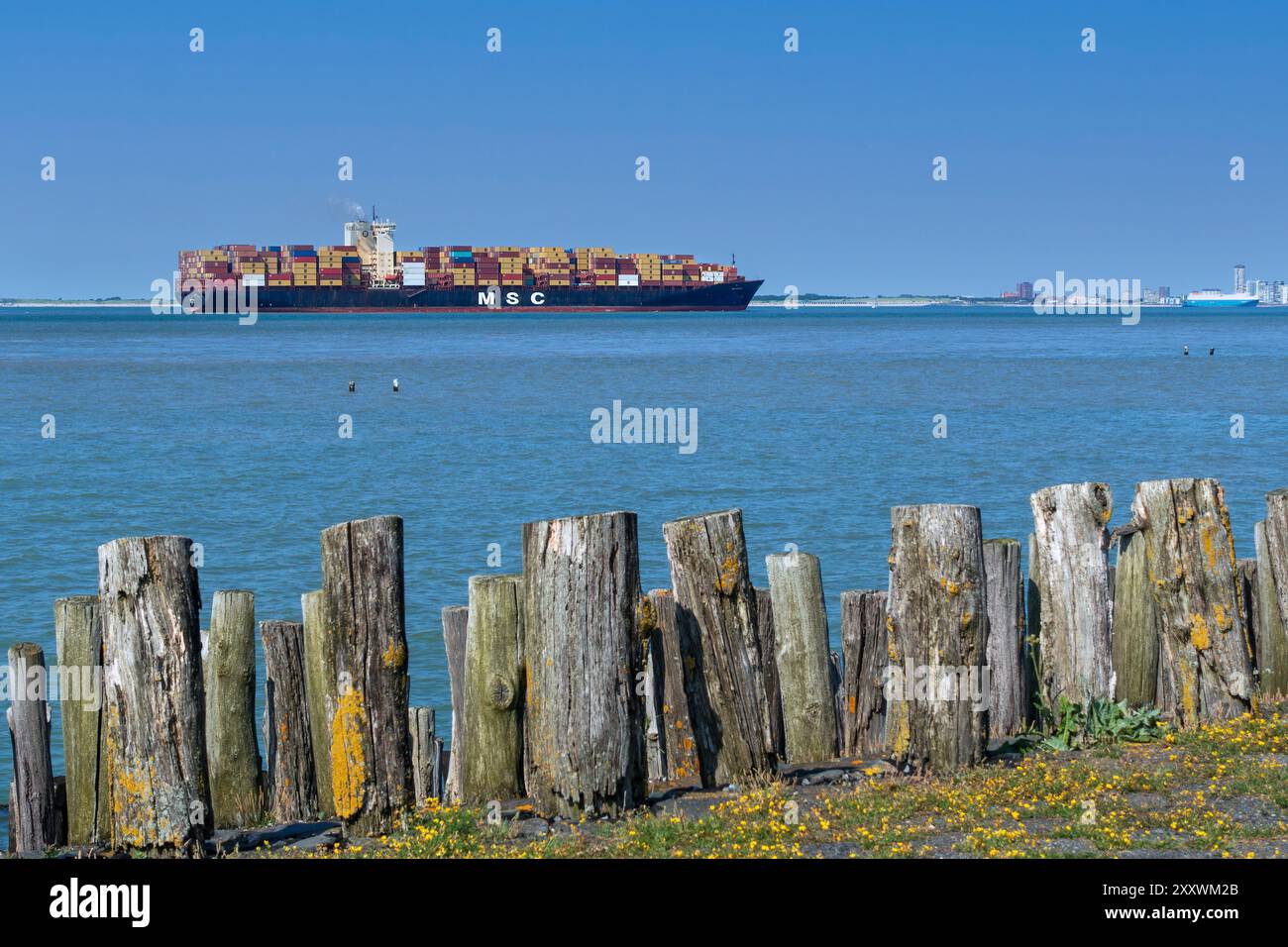 Nave container svizzera MSC / container della Mediterranean Shipping Company SA caricata con container, con sede a Ginevra, Svizzera Foto Stock