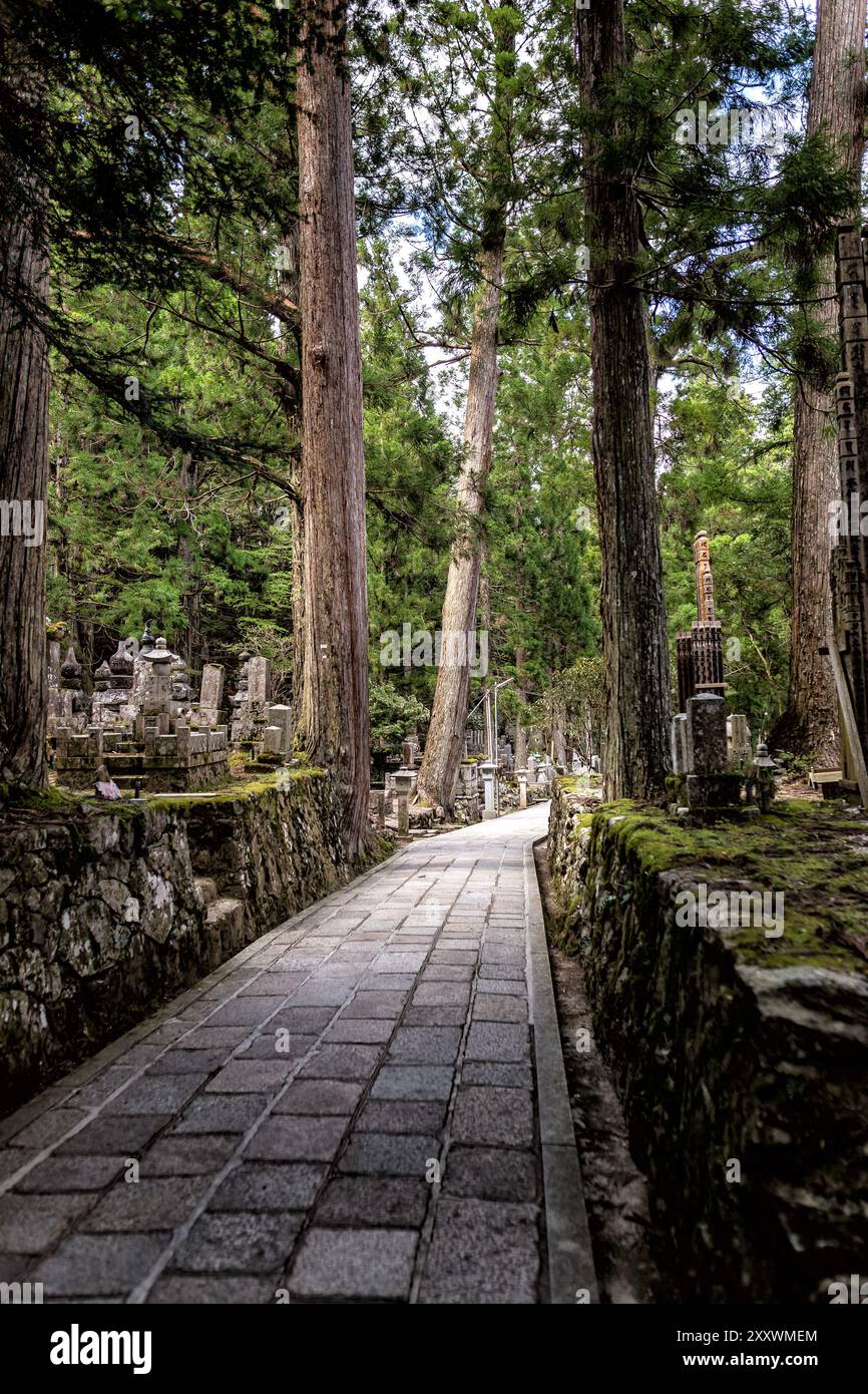 Percorso attraverso un cimitero nel monte Koyasan in Giappone Foto Stock