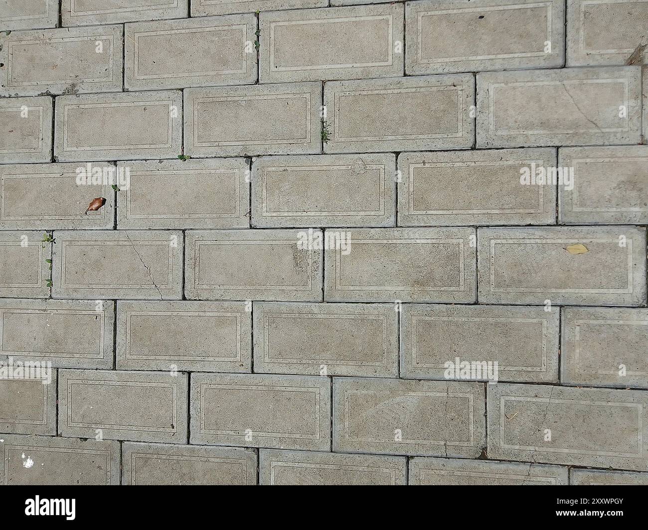 Questa immagine mostra una robusta parete in mattoni grigi, che presenta un armonioso mix di costruzione urbana e sottili tocchi di natura. i mattoni sono posati io Foto Stock