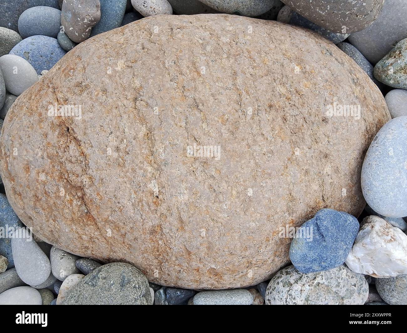Questa immagine cattura l'essenza dell'armonia naturale con una grande roccia ovale perfettamente annidata tra un assortimento di ciottoli più piccoli. La variabile Foto Stock