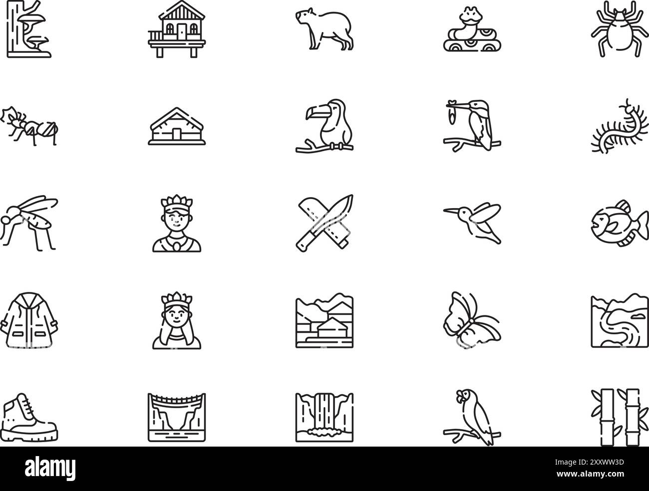 La raccolta di icone Life of amazon è un'illustrazione vettoriale con traccia modificabile. Illustrazione Vettoriale