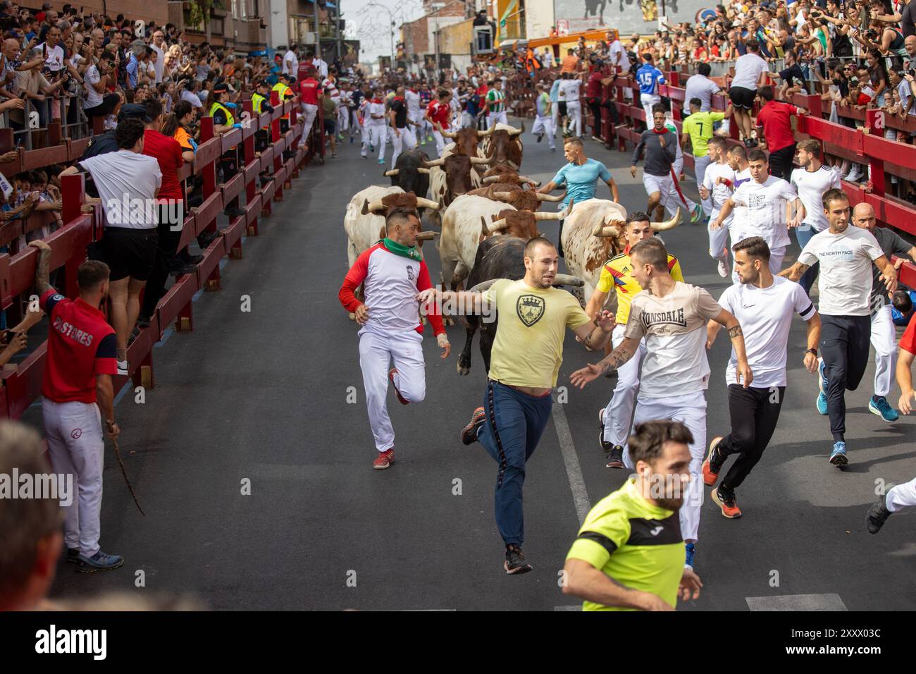 Madrid, Spagna. 26 agosto 2024. Come ogni anno, la città di Madrid di San Sebastián de los Reyes ha iniziato questa mattina la celebrazione delle sue feste patronali e come parte di esse le sue corse di tori e corride. D. Canales Carvajal/Alamy Live News - immagine Foto Stock